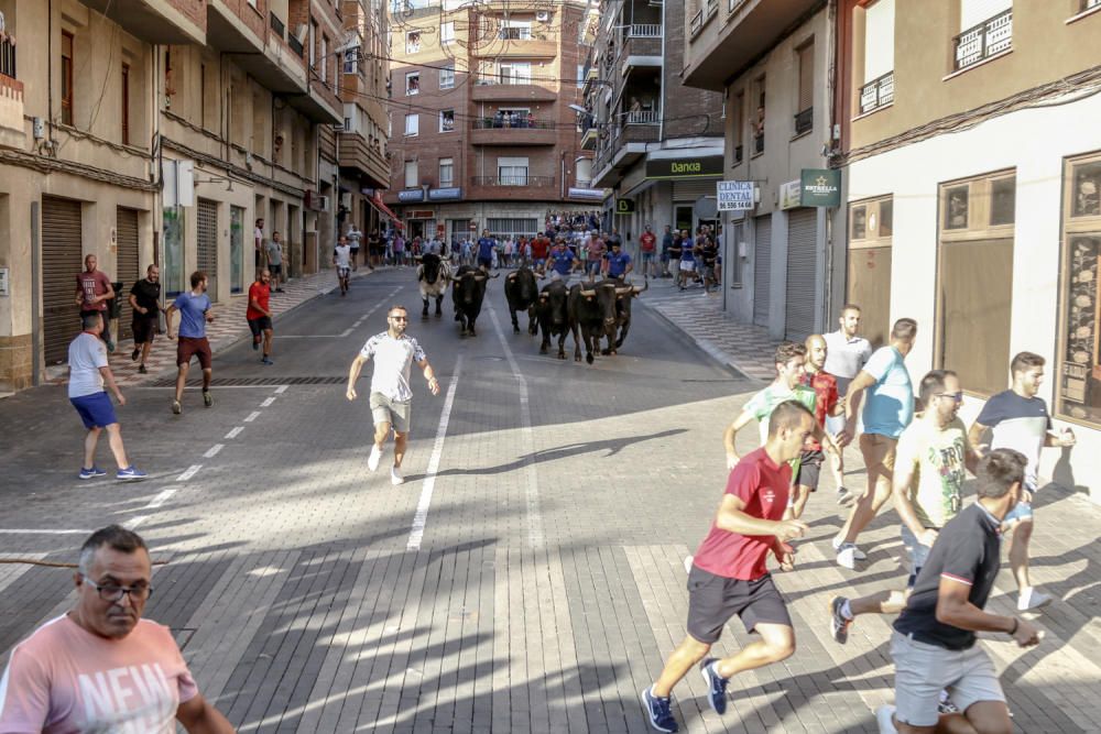 Encierro de toros en Castalla