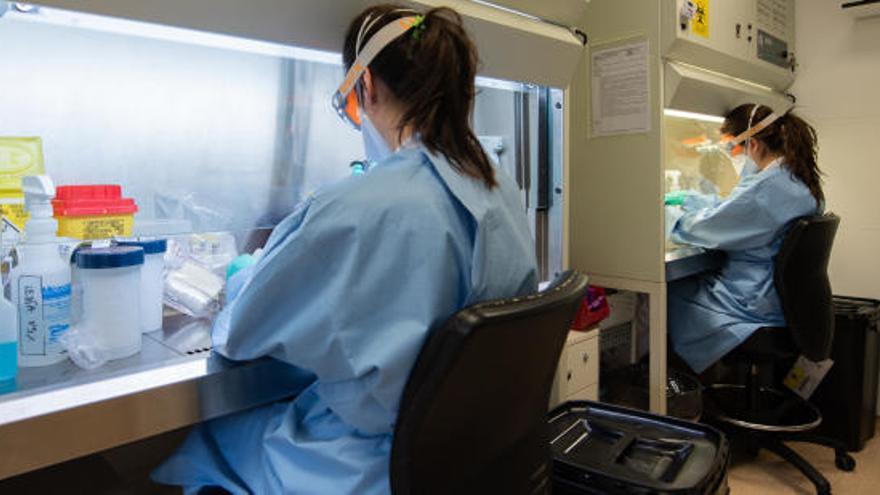 Laboratori on es fan proves de coronavirus | ACN