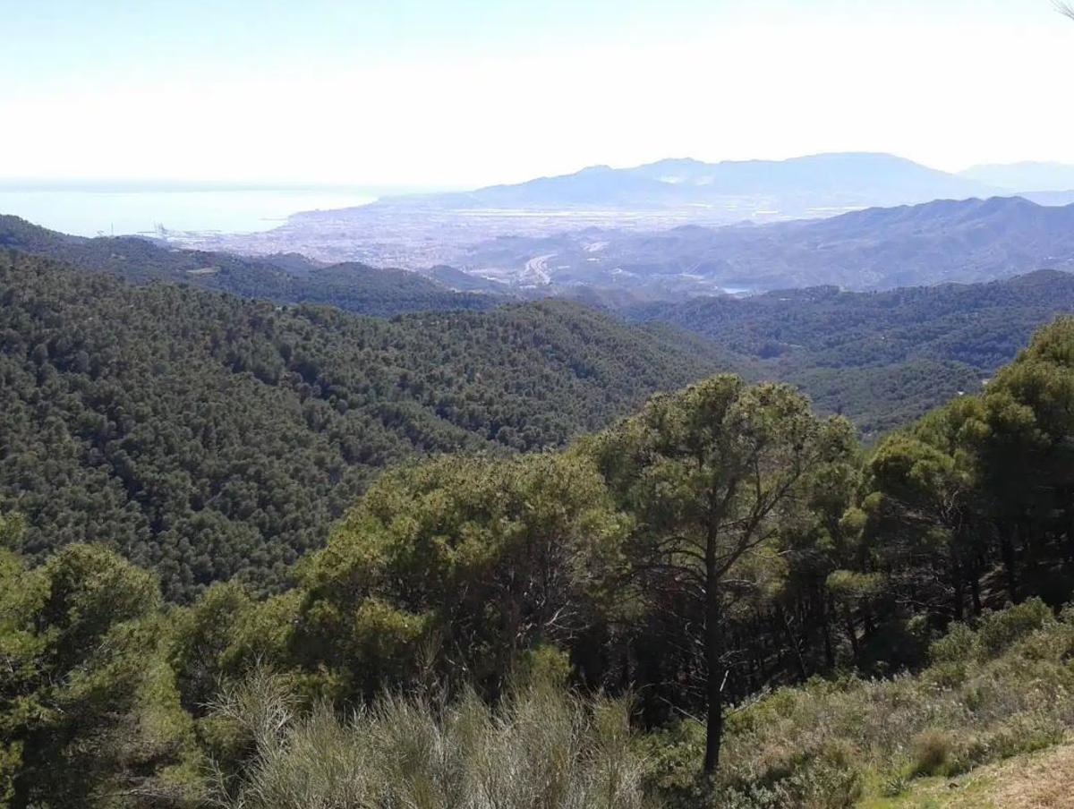 Mirador del Cochino, perfecto para una escapada de otoño: con vistas a la sierra y al mar, y repleto de fauna salvaje