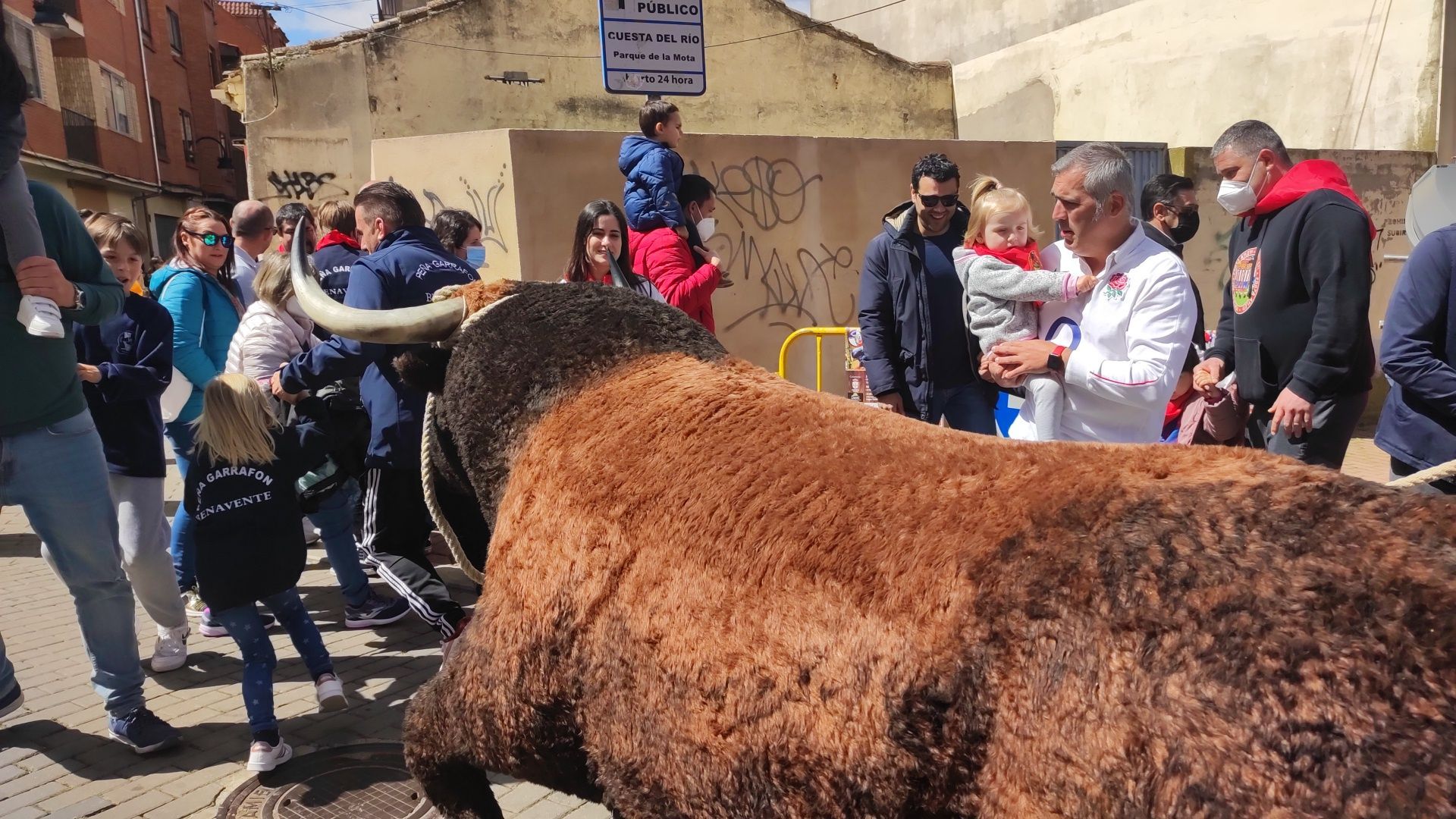 Imperioso, el carretón gigante de la Escuelas Taurinas de Benavente