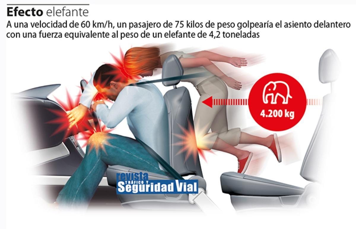 Este es el peligro efecto elefante.