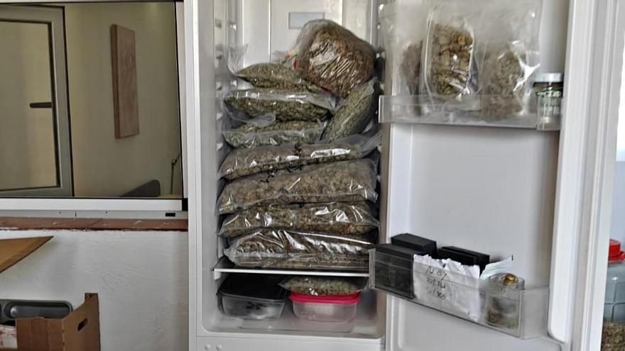 Incautan una gran cantidad de droga en Tenerife