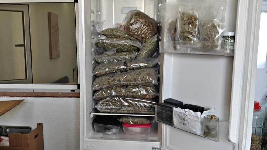 Incautan una gran cantidad de droga en Tenerife