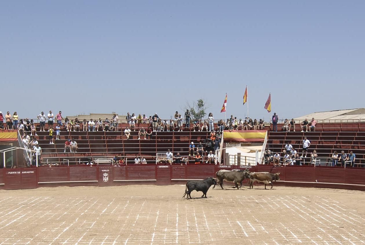 GALERÍA | El carretón Imperioso y la cagada de la suerte