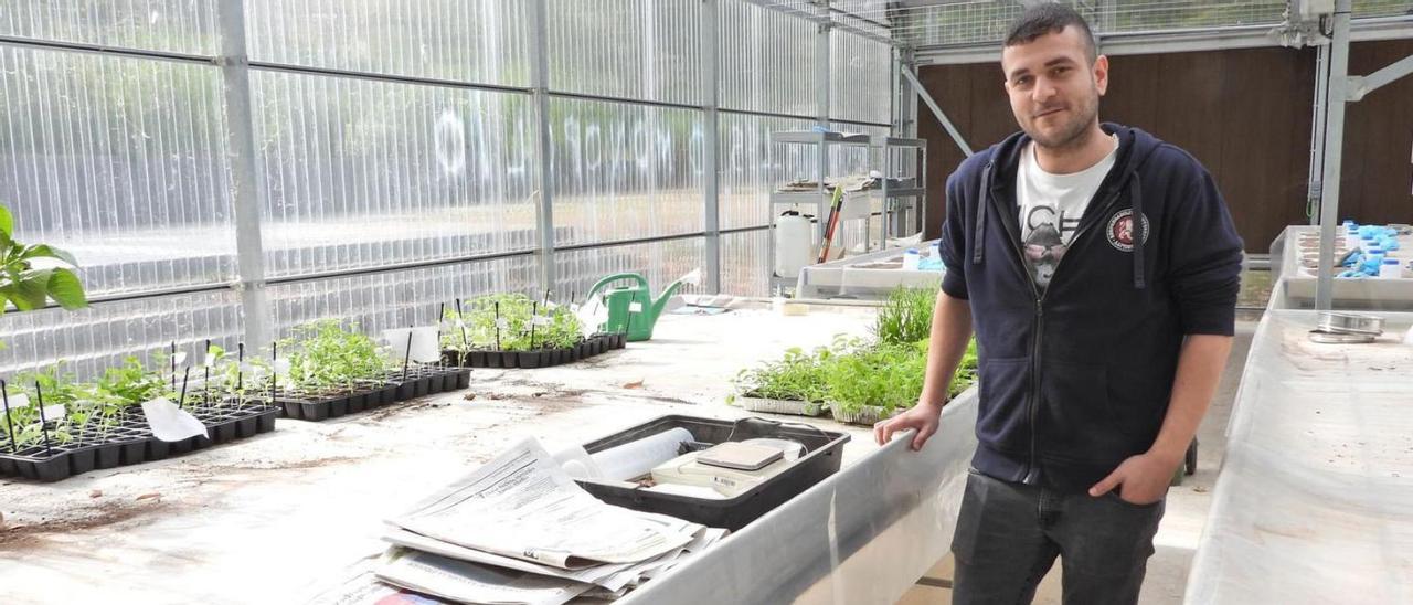 Alejandro Garrido Fernández, en el invernadero del campus de Ourense.