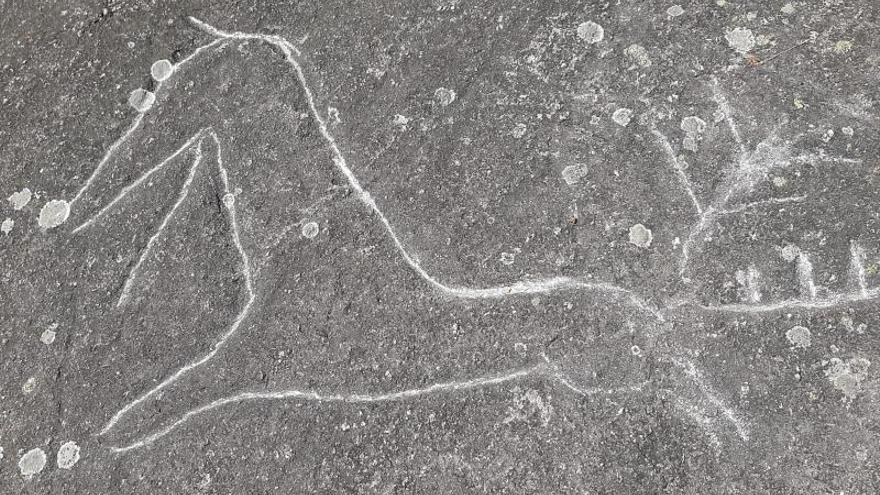 Gravado rupestre dañado en Campo Lameiro 