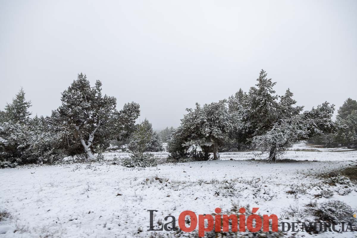 Nieve en el Noroeste