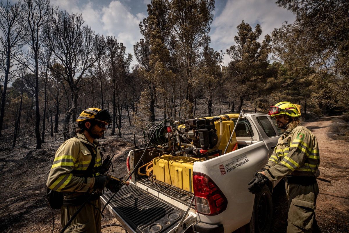 Dentro del incendio en Baix Ebre: los bomberos trabajan a contra reloj en el incendio forestal en Paüls