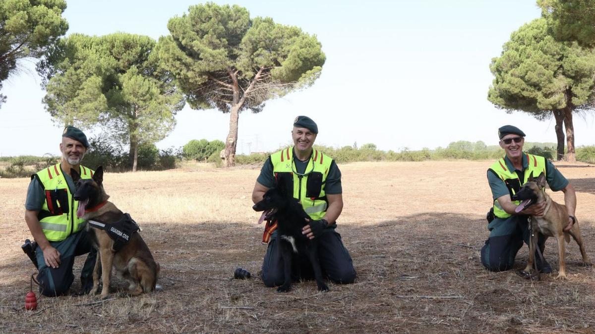 Los perros de la Guardia Civil Oca, Samir y Chico, posan con sus instructores, en Coreses. | Efe