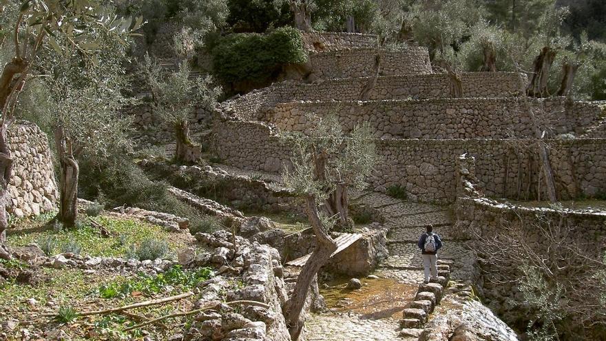 La Ruta de Pedra en Sec se ampliará en 70 kilómetros y conectará toda la Serra