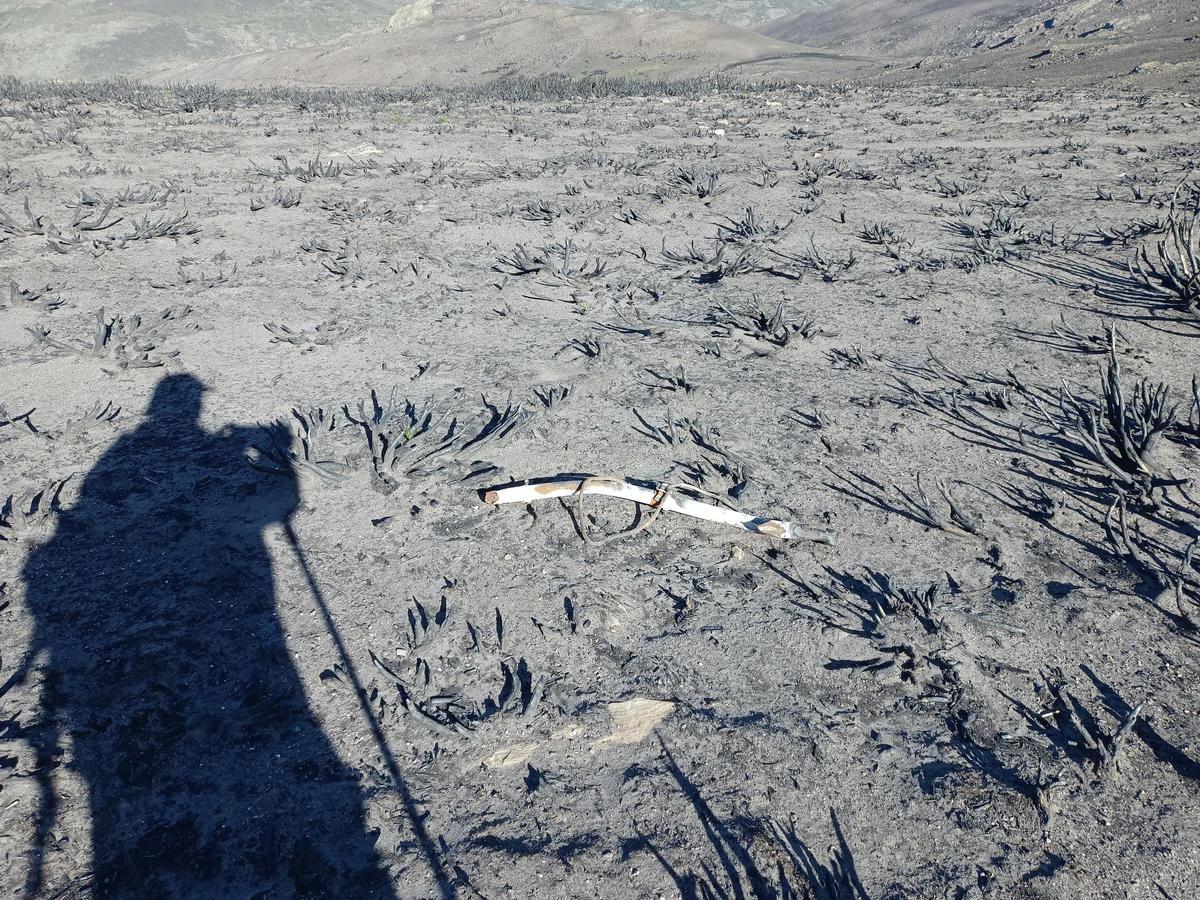 Repuesto el monolito y rescatadas piezas del avión siniestrado en Moncalvo