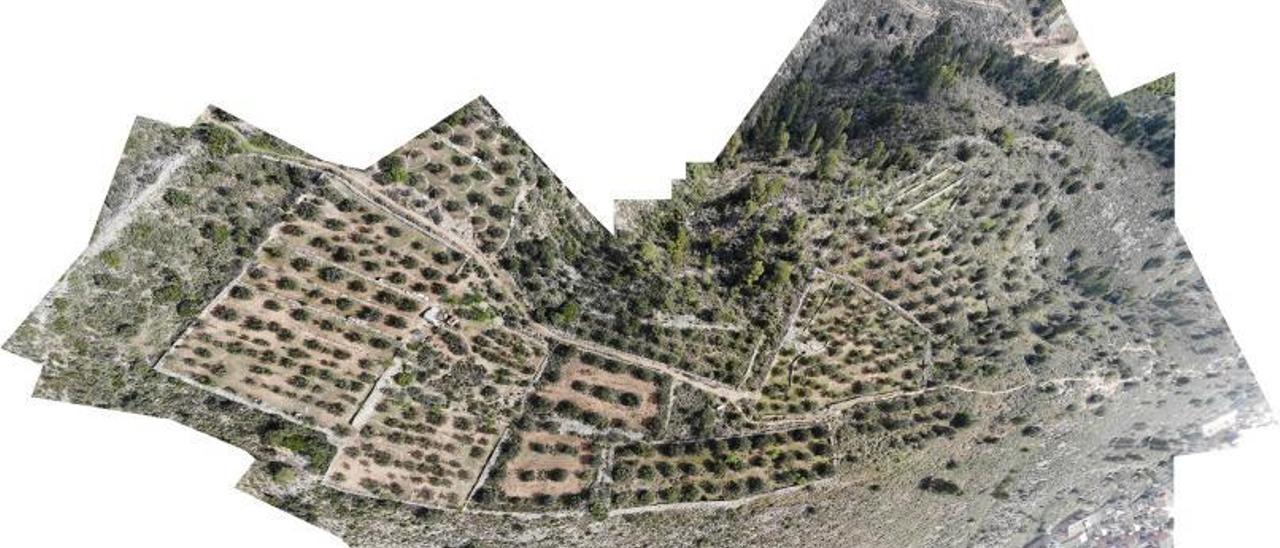 Vista cenital del yacimiento arqueológico Creueta Alta. | LEVANTE-EMV