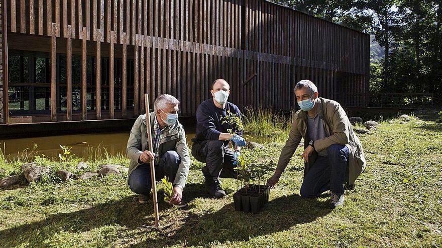 El alcalde de Sobrescobio, primero por la izquierda, durante la plantación de los dos árboles.