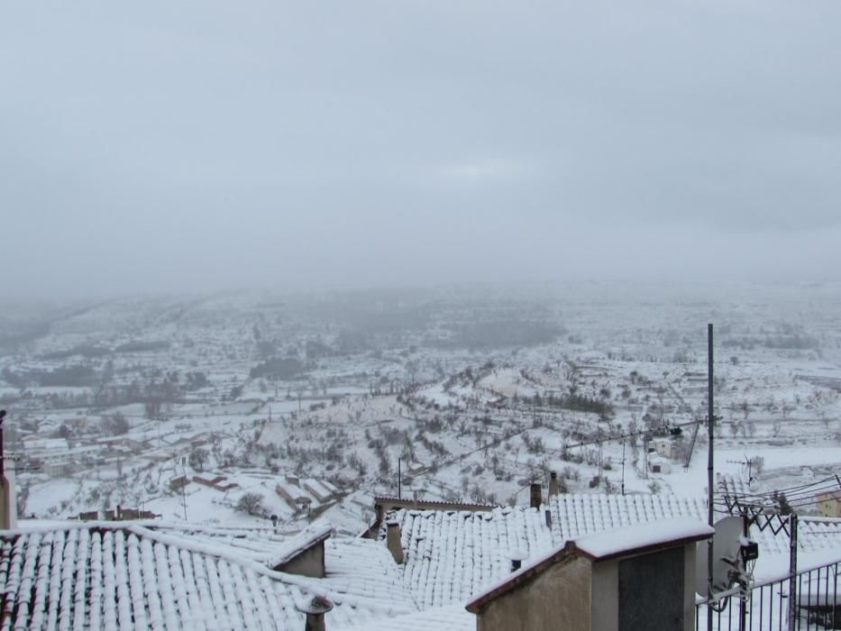 Imágenes de Morella nevada.