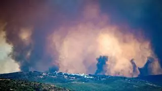 Hunderte fliehen vor Waldbrand im Südwesten Spaniens