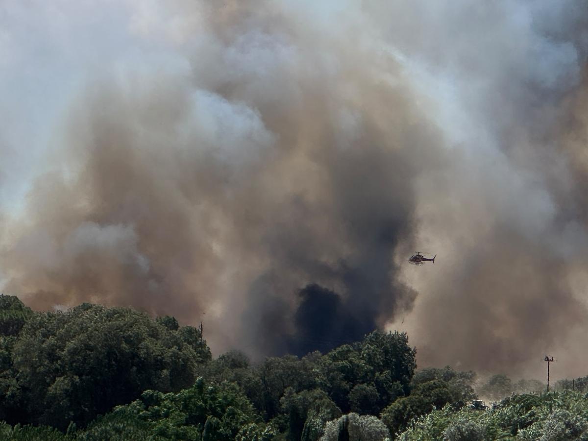 Crema sense control un incendi forestal a peu de les Gavarres a la Bisbal Crema sense control un incendi forestal a peu de les Gavarres a la Bisbal