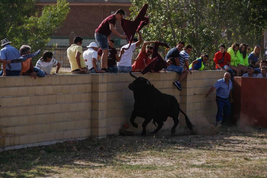 Espantes en Fuentelapeña