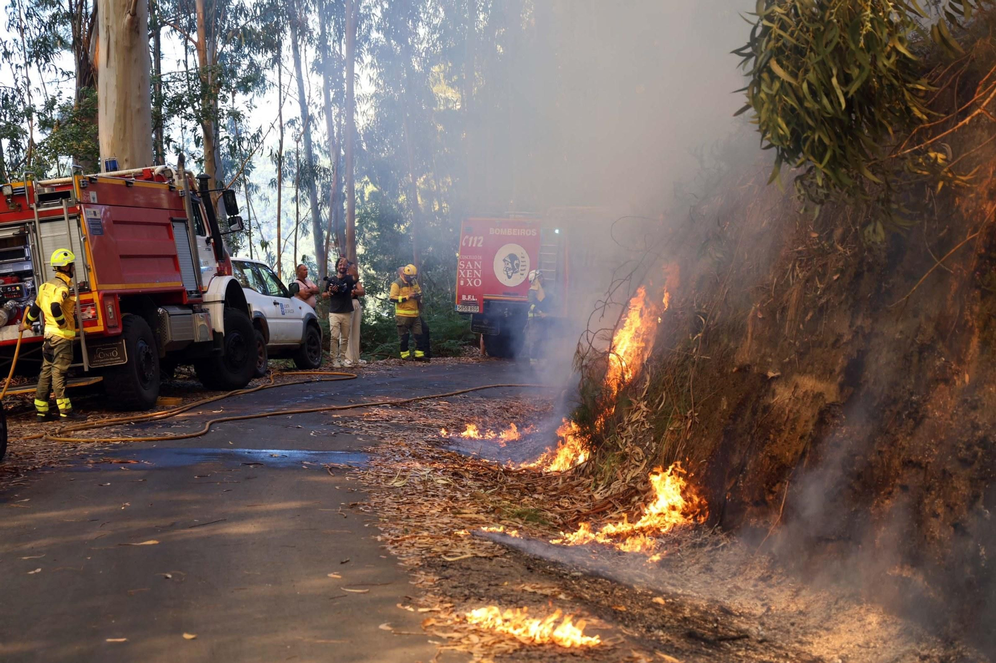 Espectacular incendio forestal en Meaño