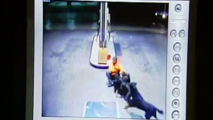Tres rottweiler atacan al empleado de una gasolinera y una cliente