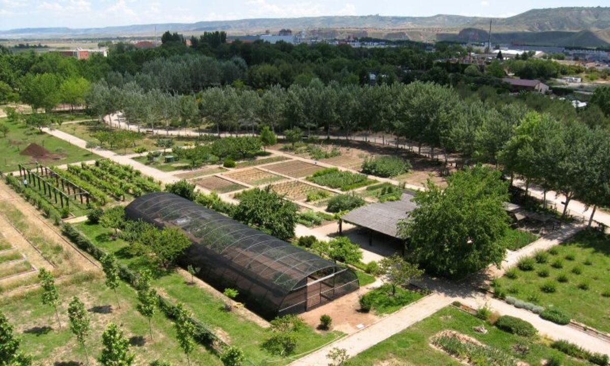 Real Jardín Botánico Juan Carlos I de Alcalá de Henares.