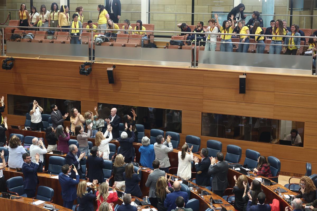Maestros de educación infantil en huelga asisten como público a la Asamblea de Madrid.