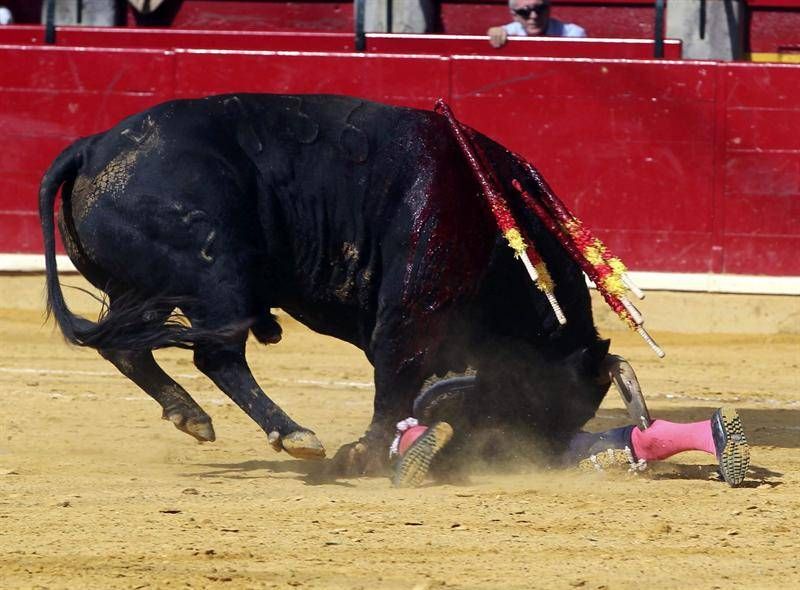 Fotogalería: Cogida a Joselillo en Zaragoza