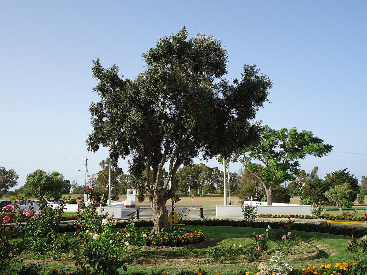 Jardines en la base naval de Rota.