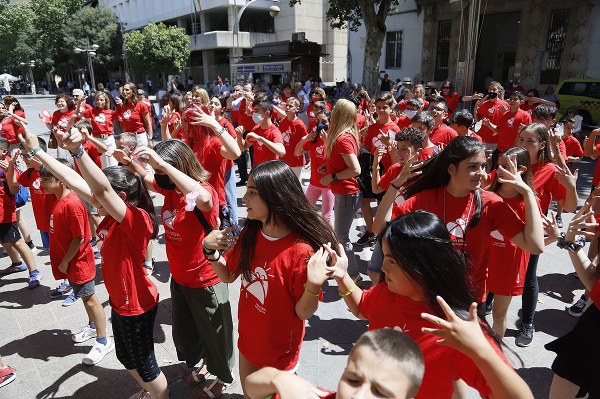 Flashmob por la donación en Córdoba en la Semana del Donante.