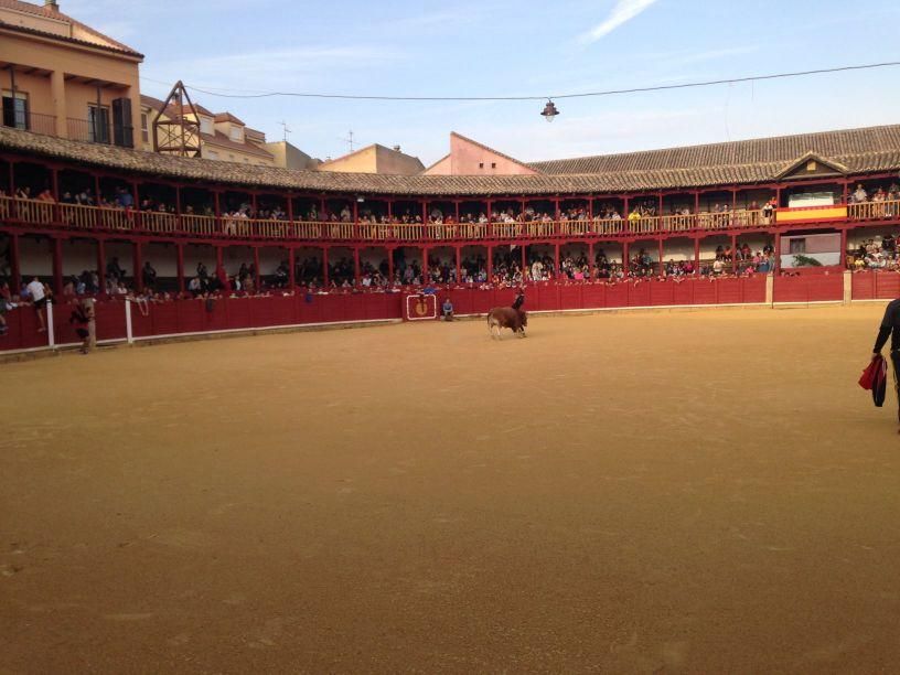 Fiestas Toro: Encierro urbano y suelta de vaquilla