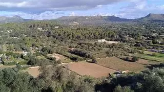 La responsable de una inmobiliaria, acusada de estafar a clientes con la venta de inmuebles