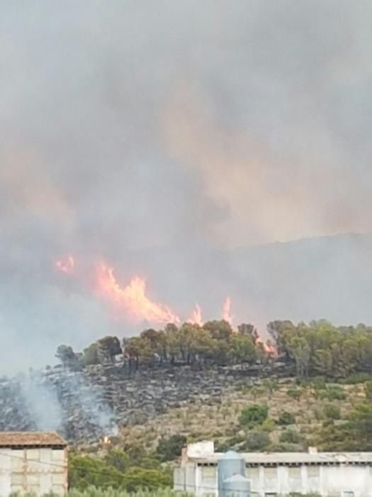 Incendio forestal en Llutxent