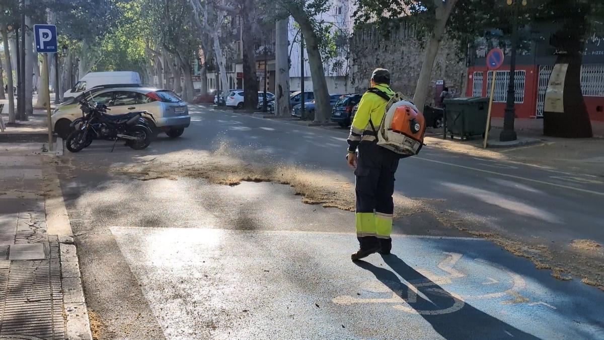 Un operario limpia con una barredora el polen acumulado en la Avenida Selgas.