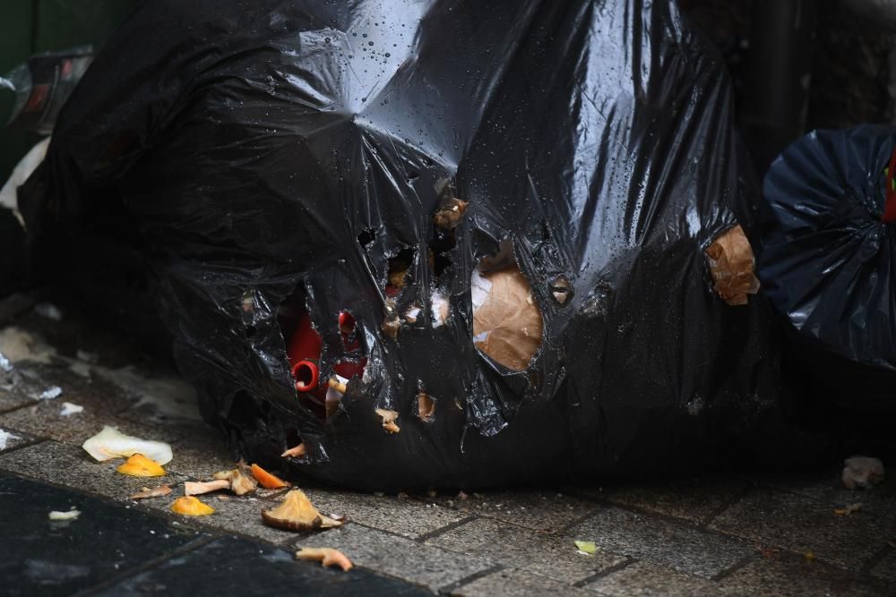 A Coruña: Basura sin recoger por tercer día