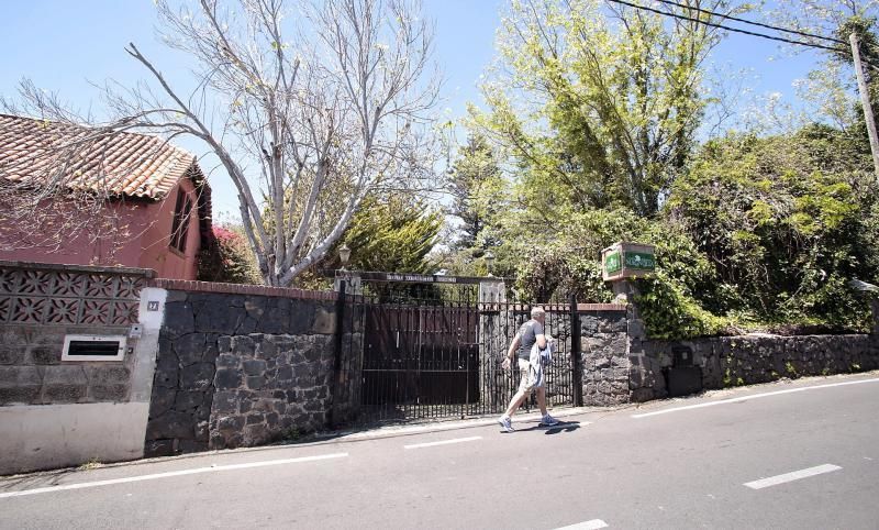 Centro de Mayores de Tacoronte | 08/04/2020  | 08/04/2020 | Fotógrafo: María Pisaca Gámez