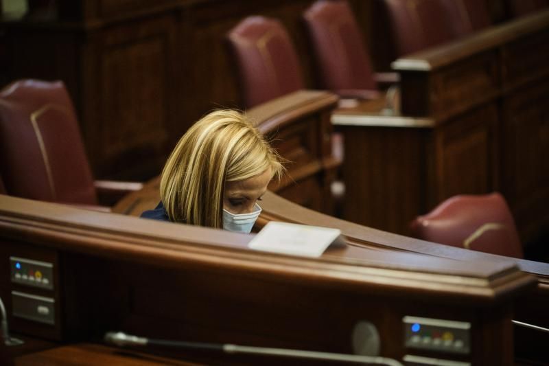 Pleno del Parlamento  | 20/05/2020 | Fotógrafo: Andrés Gutiérrez Taberne