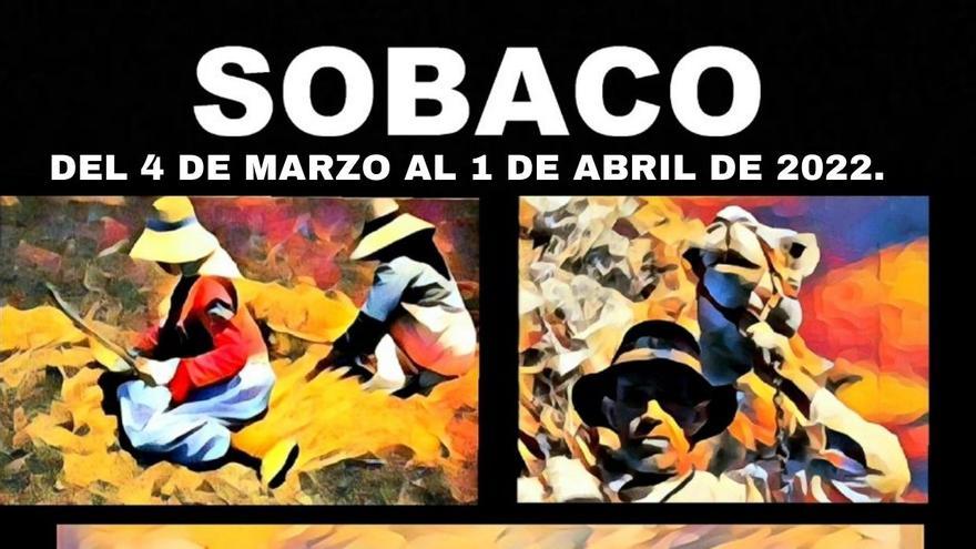 Exposición «Sobaco»