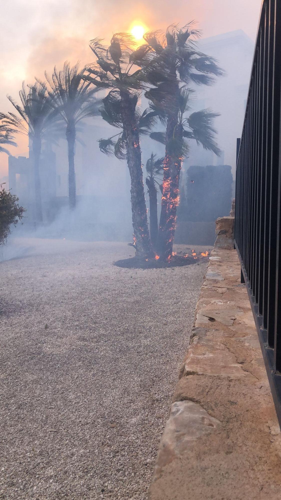 Las llamas del incendio en Orihuela Costa