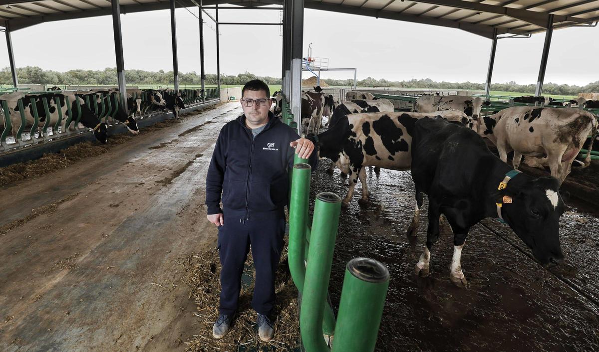Miquel Vanrell, de la explotación de Son Carbó, en Campos.