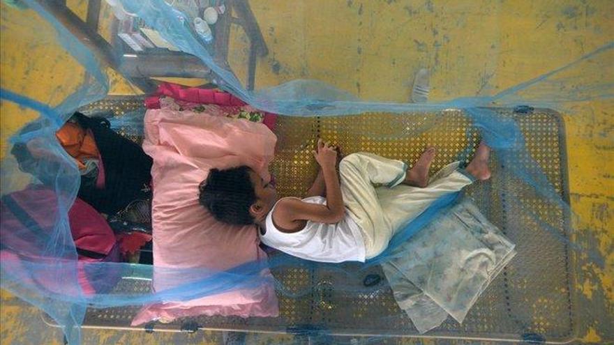 Alerta nacional en Filipinas por un grave brote de dengue con 500 muertos