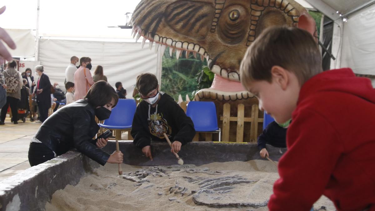 Zona donde los niños podrán jugar a encontrar fósiles.