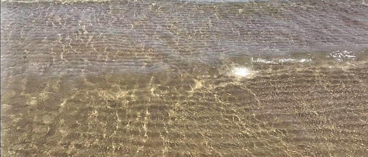 Agua cristalina de la playa de Canet, en la tarde de ayer.