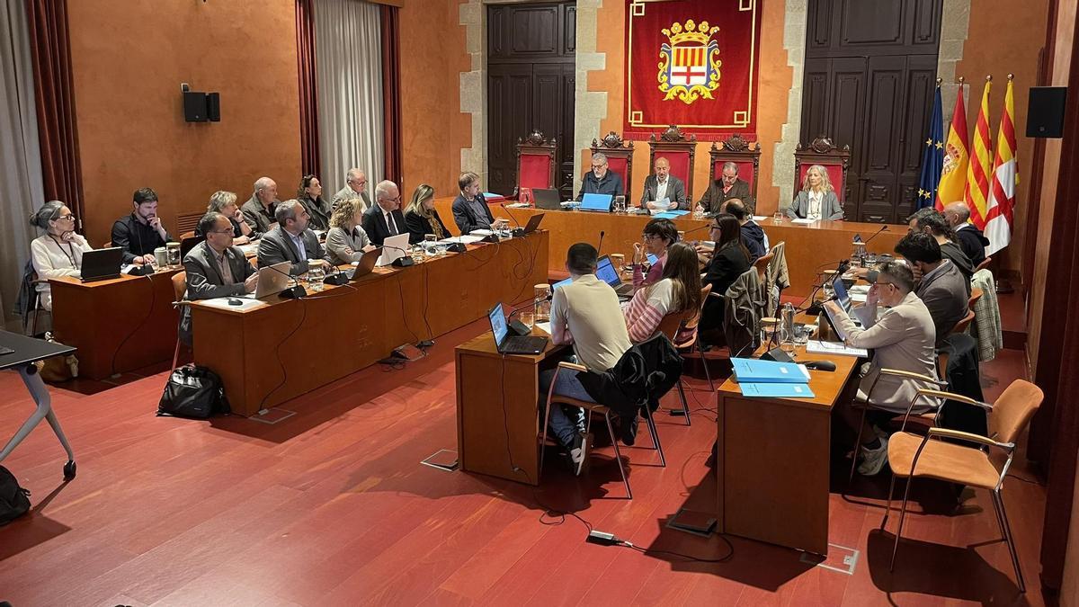 Moment de la lectura institucional al ple, amb la cadira buida de la representant de Vox