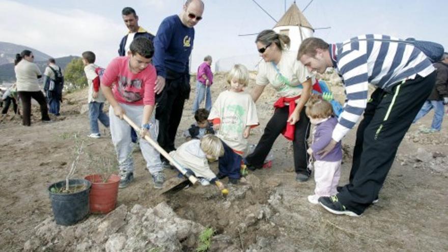 Reforestacion en Alumbres, Cartagena