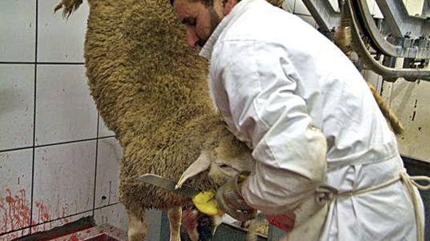 Festa del Sacrifici a Figueres, en una imatge d&#039;arxiu.