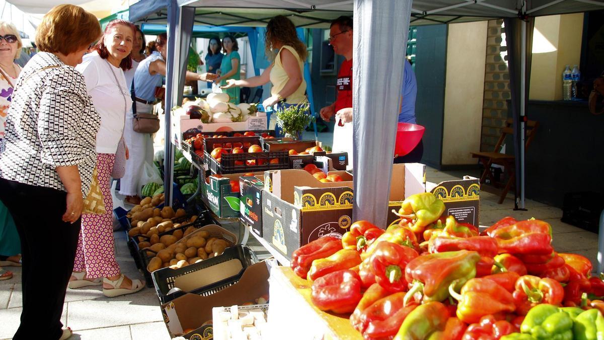 XV Feria del Huerto de Tentudía en Monesterio