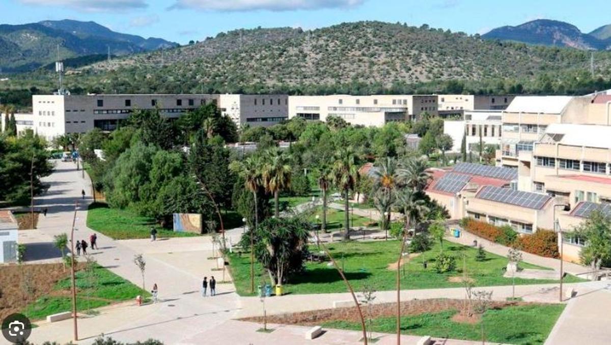 Una imagen de archivo de la UIB.