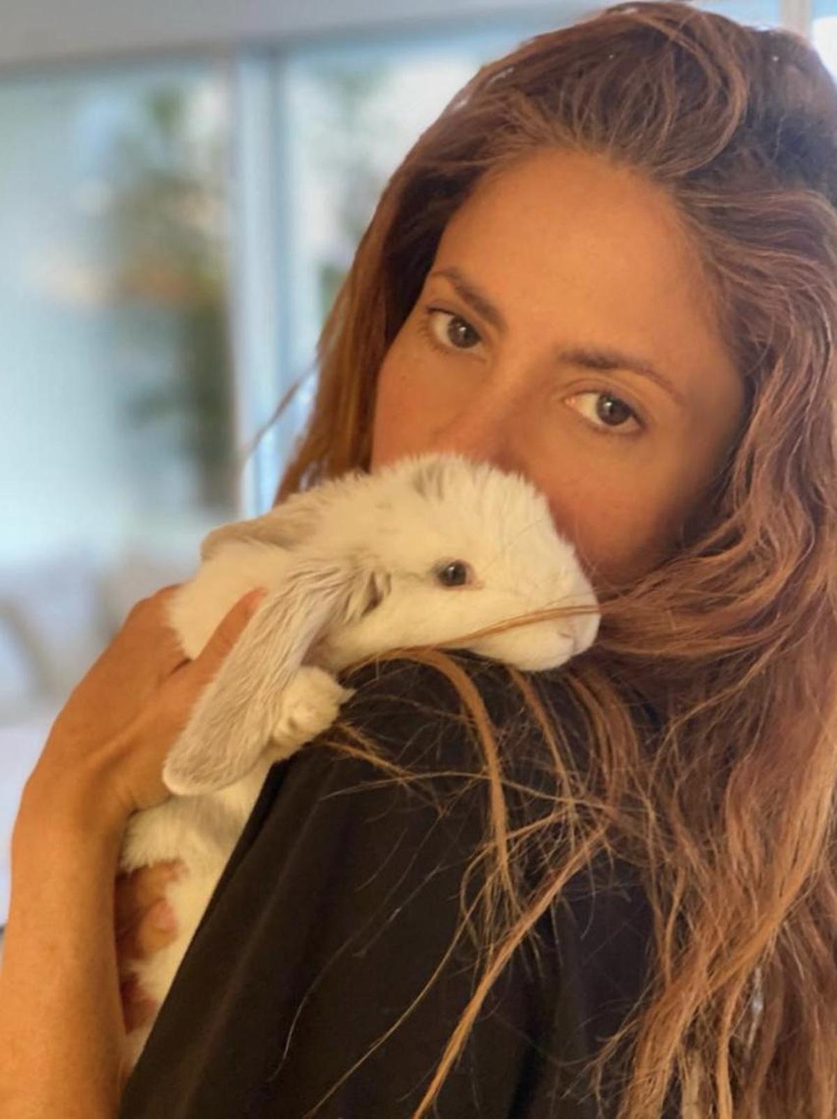Shakira nos presentaba a su conejo Max