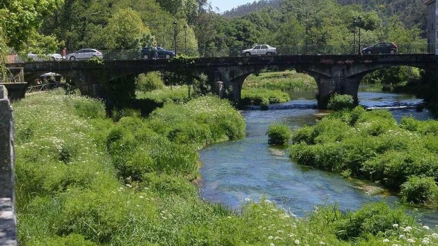 El río Umia presenta desde hace meses abundante vegetación. // Noé Parga