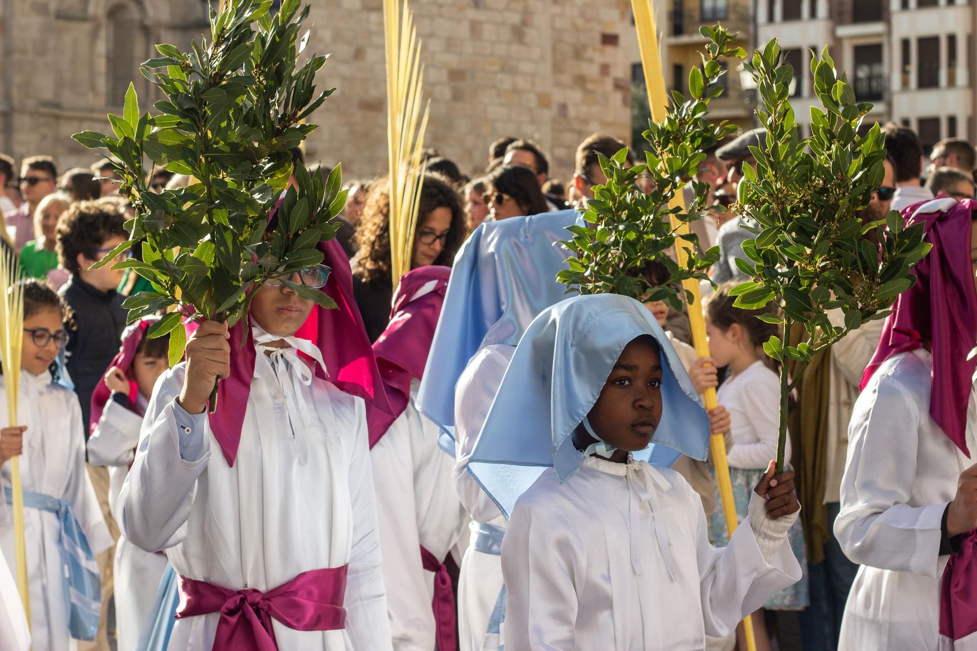 ZAMORA.DOMINGO DE RAMOS