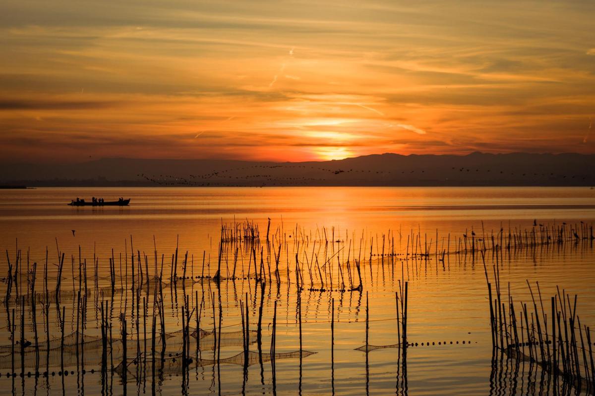 La Albufera de Valencia deja imágenes sorprendentes gracias al particular color del reflejo del brillo del sol en el agua y a la espectacular flora y fauna de la zona.